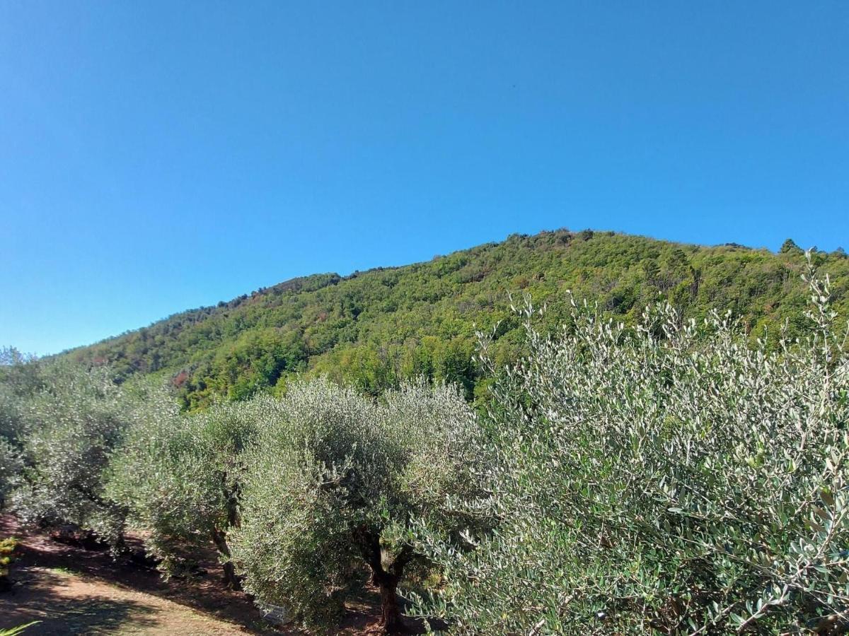 Stone holiday home in Fiano Pescaglia with private garden Loppeglia Esterno foto
