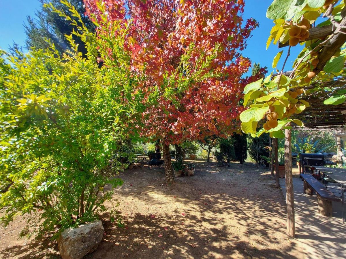 Stone holiday home in Fiano Pescaglia with private garden Loppeglia Esterno foto