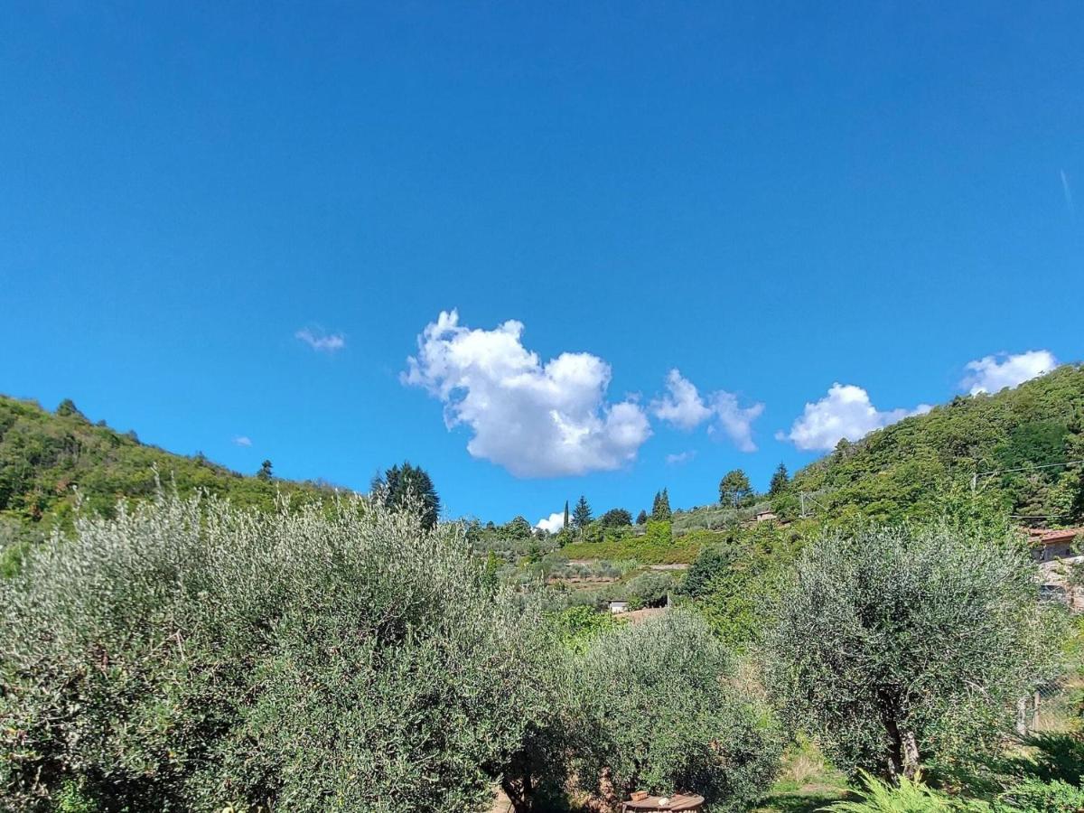 Stone holiday home in Fiano Pescaglia with private garden Loppeglia Esterno foto