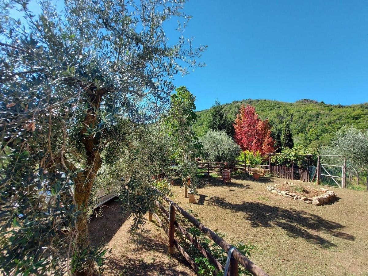 Stone holiday home in Fiano Pescaglia with private garden Loppeglia Esterno foto