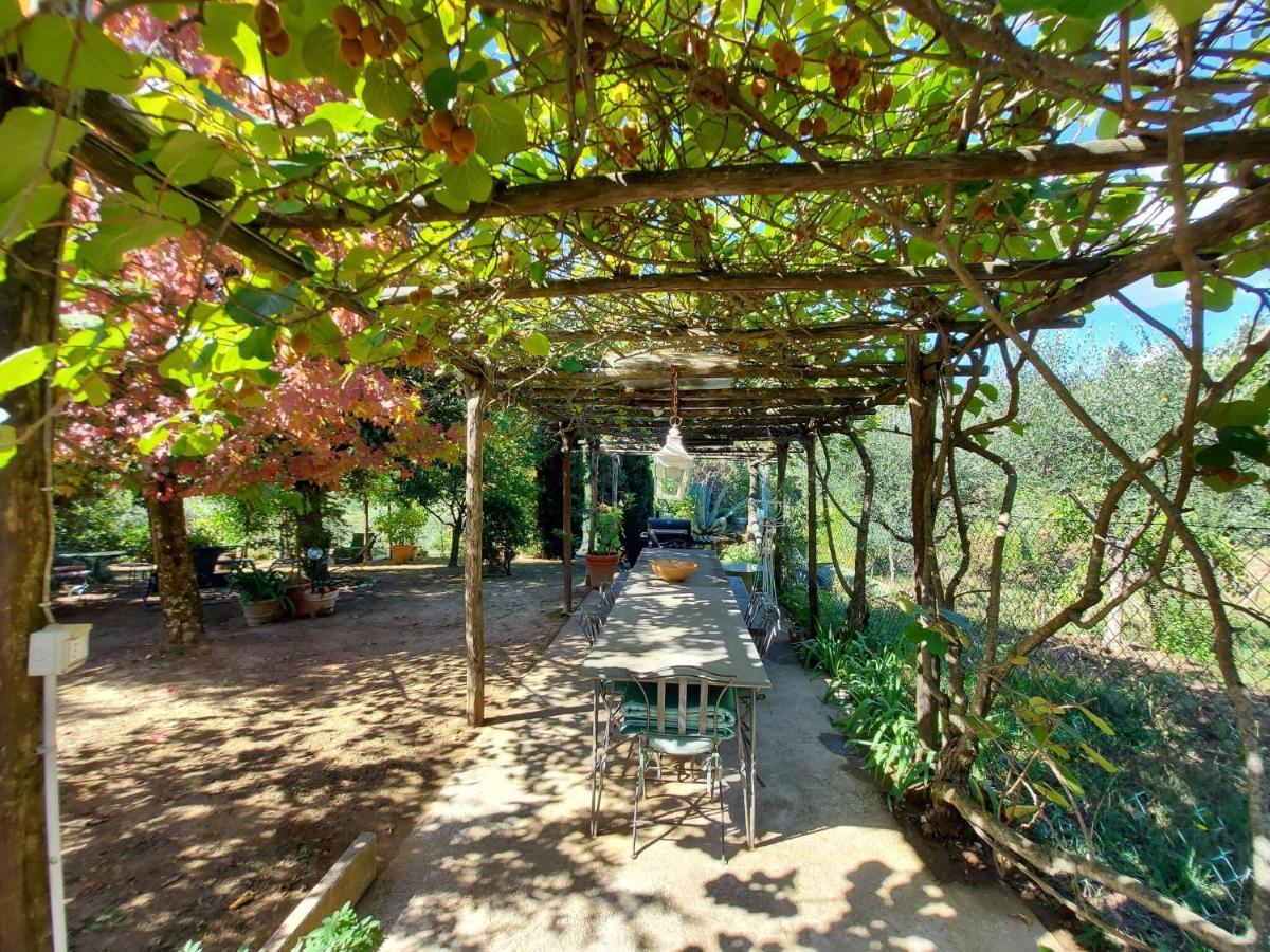 Stone holiday home in Fiano Pescaglia with private garden Loppeglia Esterno foto